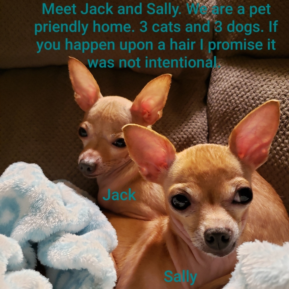 Pet Friendly Home